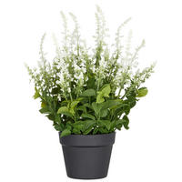 KUNSTPFLANZE 59 cm  - Schwarz/Weiß, Basics, Kunststoff (59cm) - P & B