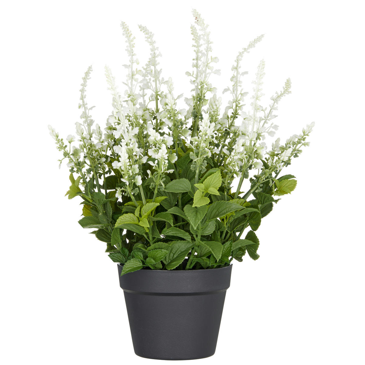 KUNSTPFLANZE 59 cm  - Schwarz/Weiß, Basics, Kunststoff (59cm) - P & B