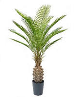 MŰNÖVÉNY - fekete/zöld, Basics, műanyag