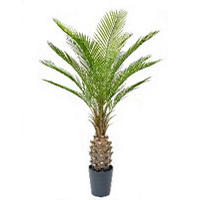 MŰNÖVÉNY - fekete/zöld, Basics, műanyag