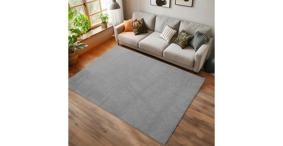 FLACHWEBETEPPICH 60/110 cm HELIX Silberfarben  - Silberfarben, Basics, Kunststoff/Textil (60/110cm) - Novel