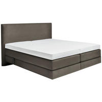 BOXSPRINGBETT 200/200 cm  in Taupe  - Taupe, Konventionell, Holz/Textil (200/200cm) - Dieter Knoll