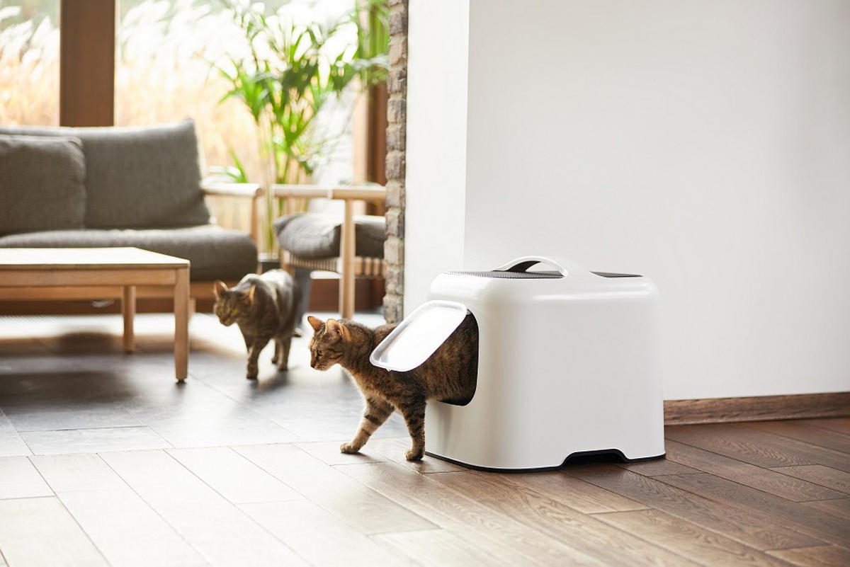 KATZENTOILETTE - Weiß, Basics, Kunststoff (51/39,5/44,3cm) - Rotho