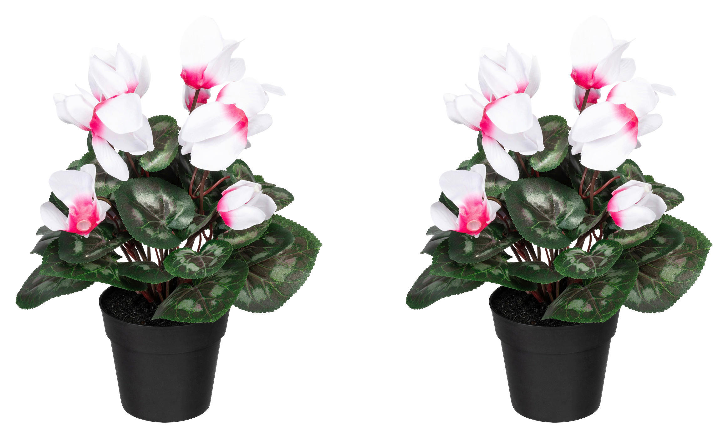 KUNSTPFLANZE 30 cm  - Pink/Schwarz, Design, Kunststoff (30cm) - P & B