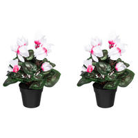 KUNSTPFLANZE 30 cm  - Pink/Schwarz, Design, Kunststoff (30cm) - P & B