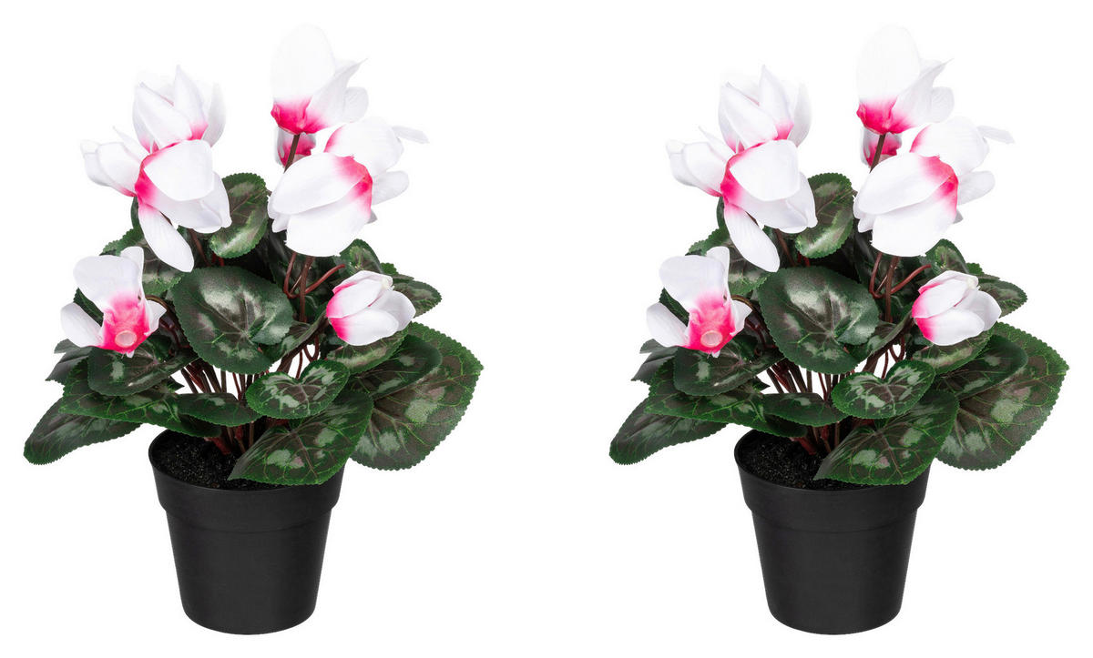KUNSTPFLANZE 30 cm  - Pink/Schwarz, Design, Kunststoff (30cm) - P & B