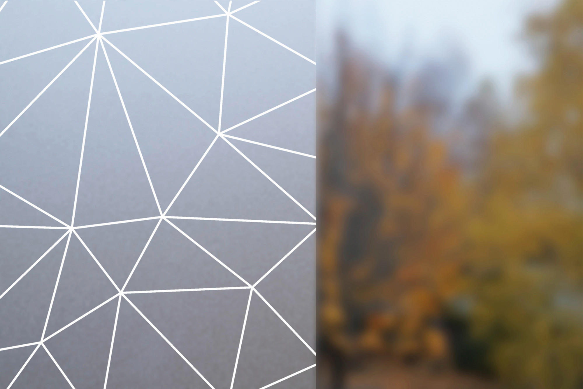 Sichtschutzfolie Ff Vp Polygon Transparent