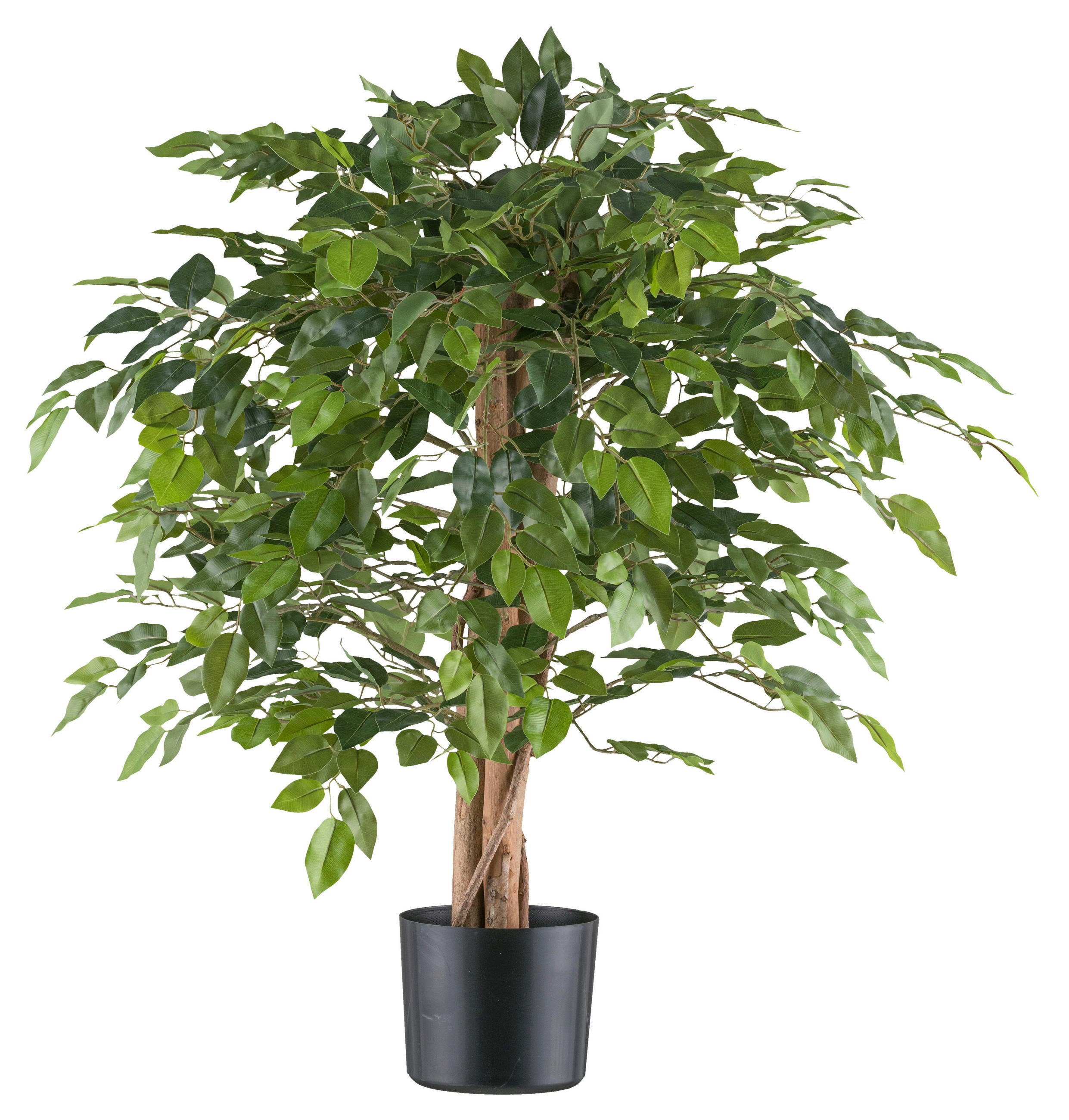 KUNSTPFLANZE Ficus Benjamina 85 cm  - Schwarz/Naturfarben, Design, Naturmaterialien/Kunststoff (85cm) - P & B