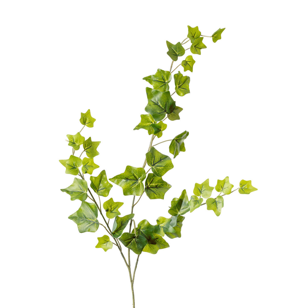 EFEU Efeu  - Grün, Natur, Kunststoff (65cm)