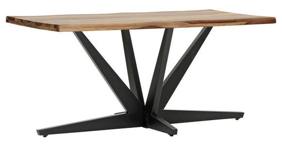 TISCHGESTELL Schwarz   - Schwarz, Design, Metall (160/80/73cm) - Landscape