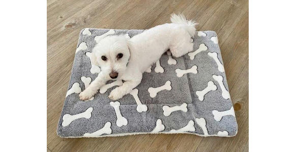 DECKE 50/70 cm  - Basics (50/70cm) - Esposa