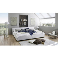POLSTERBETT 240/200 cm  Hellgrau  - Hellgrau, Basics, Holz/Textil (240/200cm) - Boxxx