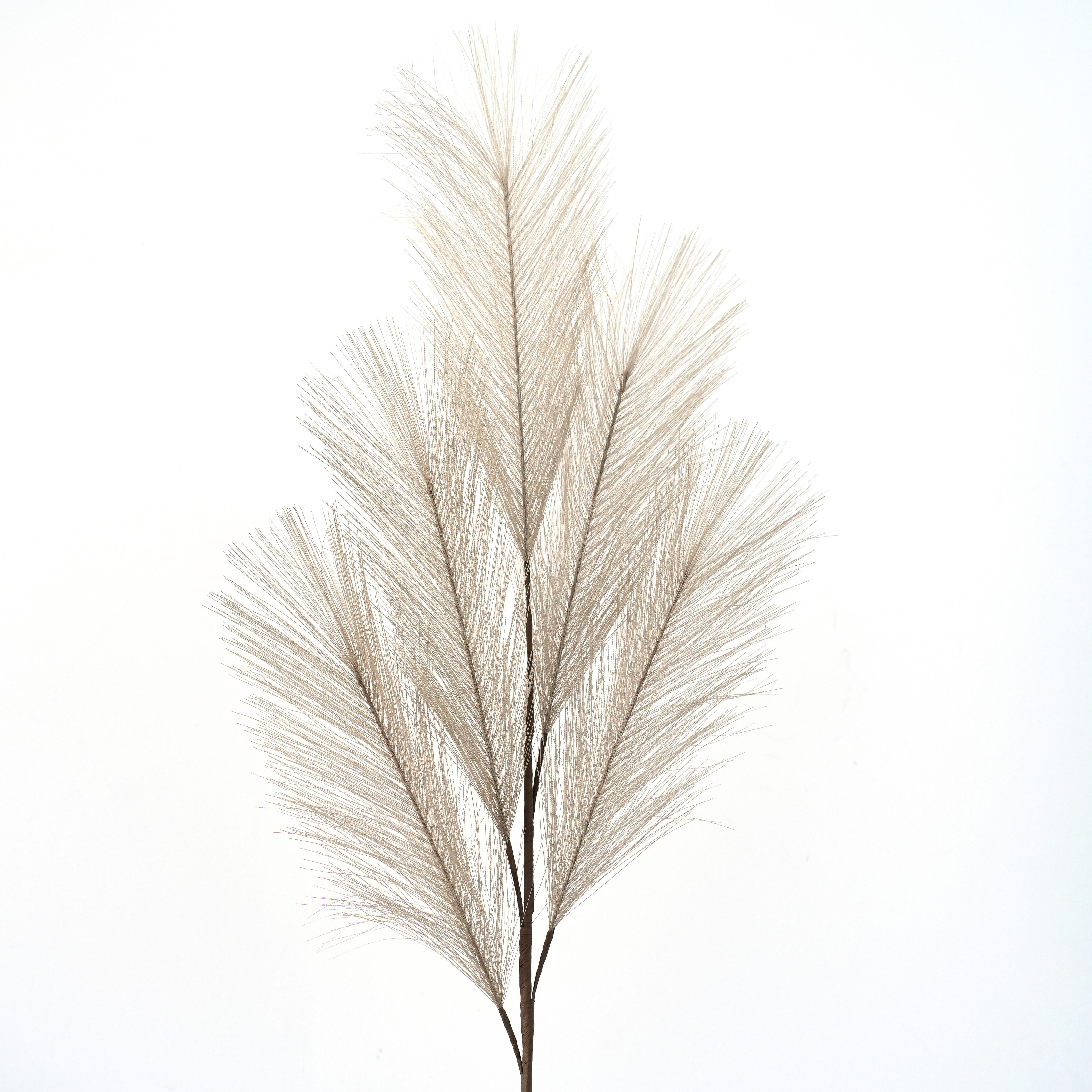 UMĚLÁ ROSTLINA pampová tráva 68 cm - tmavě hnědá