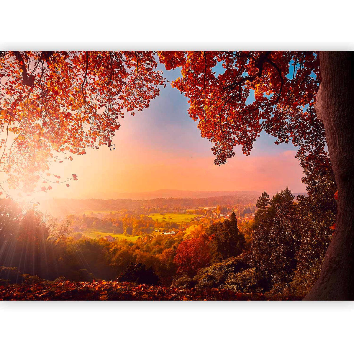 FOTOTAPETE  - Multicolor, Basics, Textil (250/175cm) - artgeist