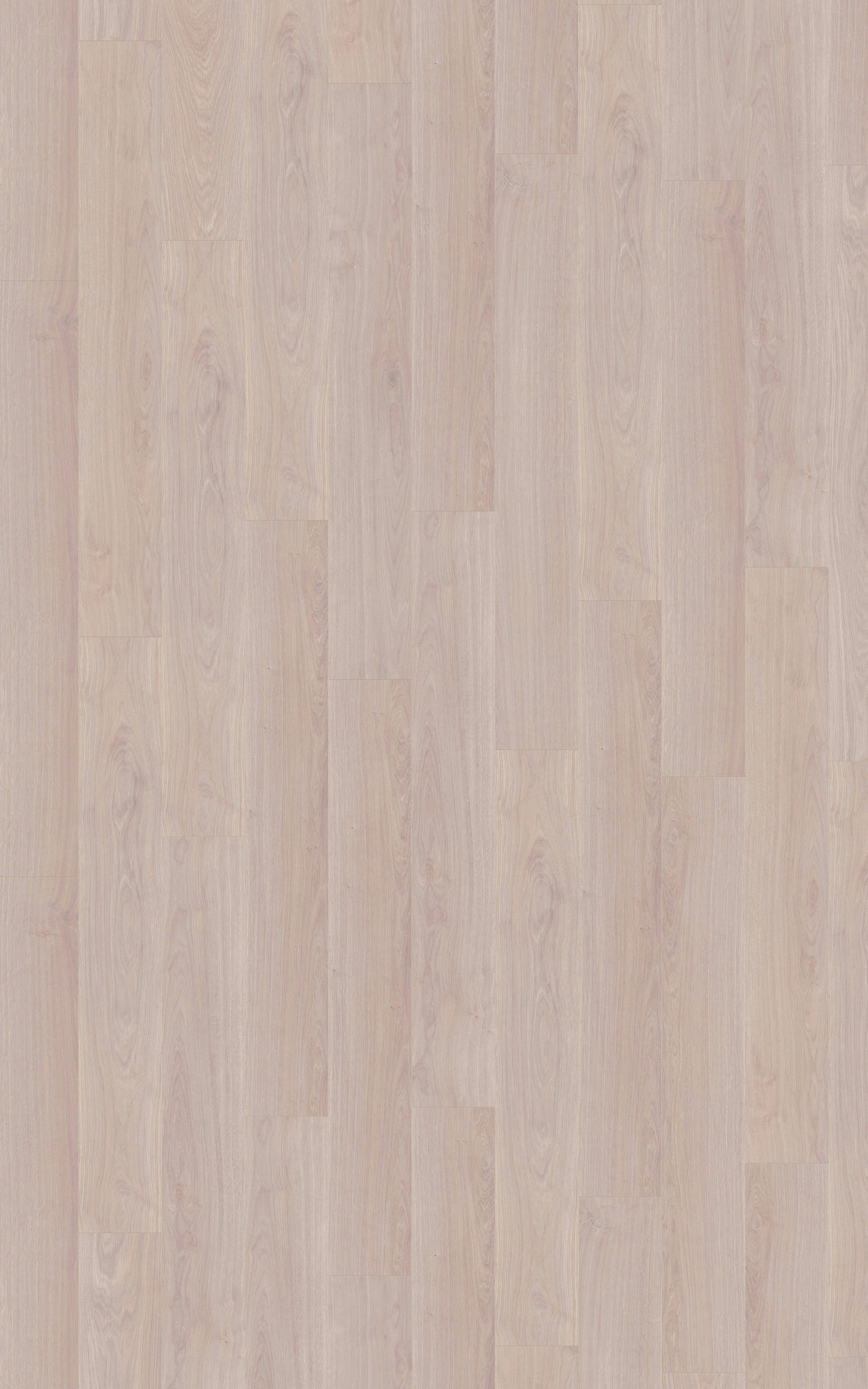 LAMINATBODEN Exquisit  - Eichefarben, KONVENTIONELL, Holz (138.0/19.3/0.8cm)