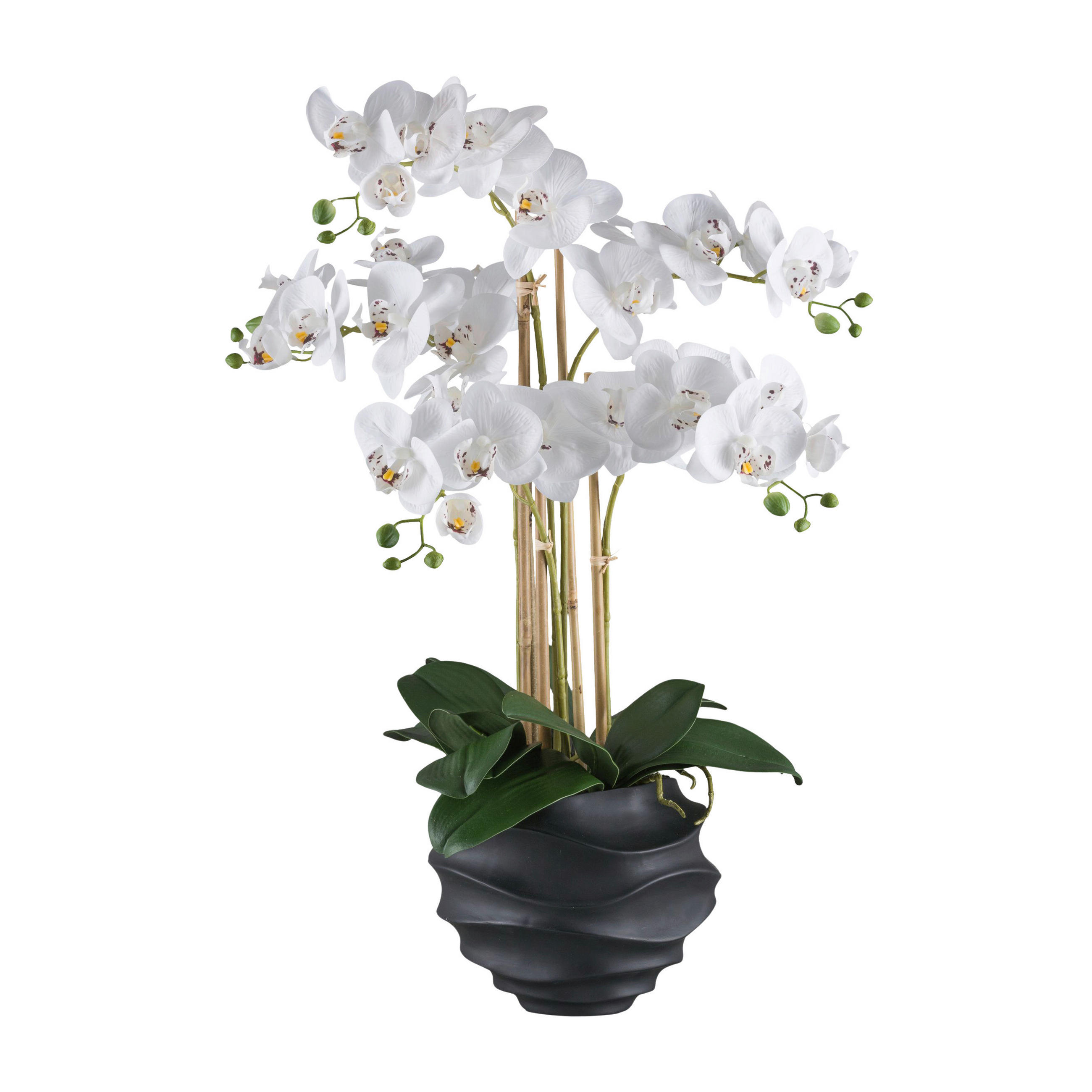 KUNSTPFLANZE Orchidee 70 cm  - Schwarz/Weiß, Design, Kunststoff (70cm) - P & B