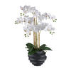 KUNSTPFLANZE Orchidee 70 cm  - Schwarz/Weiß, Design, Kunststoff (70cm) - P & B