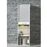 ROLLOSCHRANK Silberfarben - Silberfarben/Schwarz, Design, Holzwerkstoff/Kunststoff (45/164/40cm) - Carryhome
