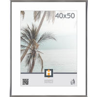 RÁM NA OBRAZY, 1 foto 40 cm x 50 cm - strieborná, Basics, plast/sklo (40/50cm)
