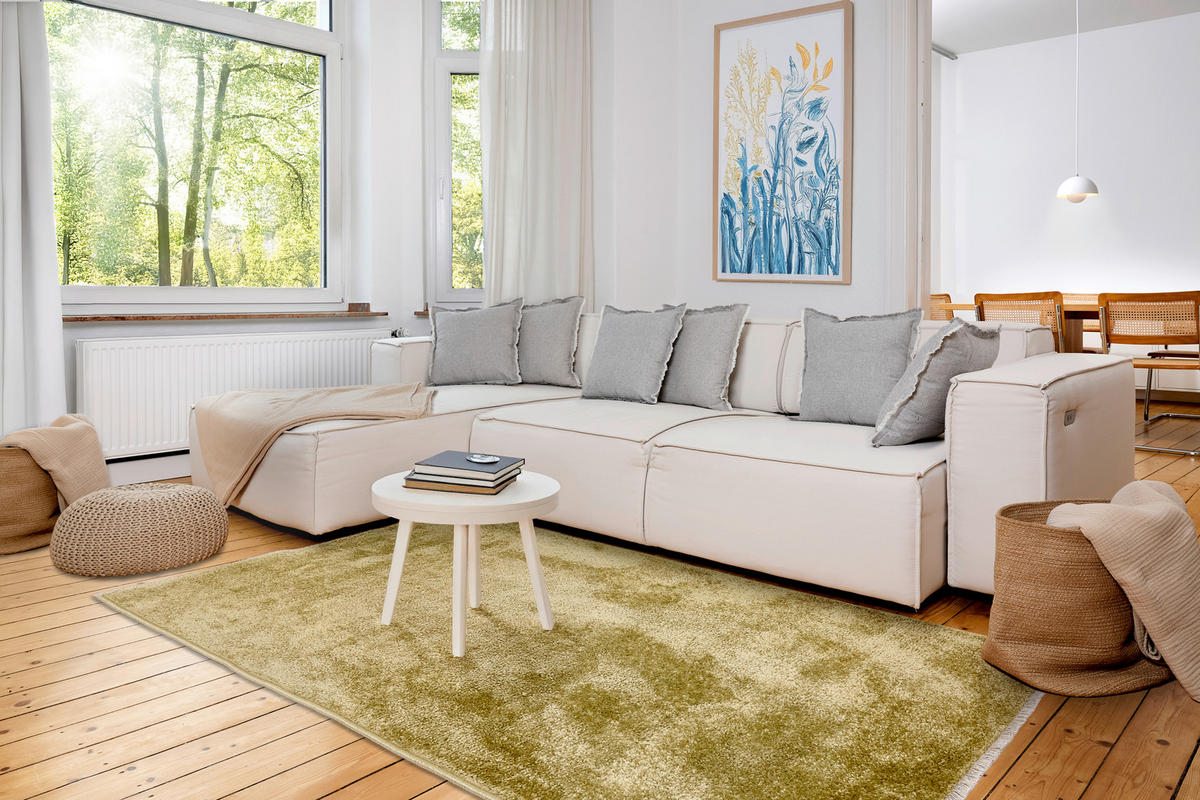 WEBTEPPICH 80/150 cm Stevie Salbeigrün rechteckig  - Salbeigrün, Basics, Kunststoff (80/150cm) - Astra