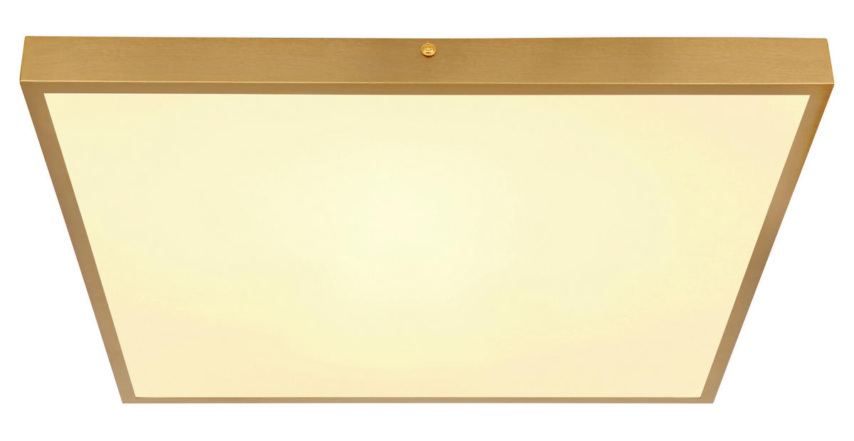 STROPNÉ LED SVIETIDLO, 45/46/3 cm - opálová/mosadzná, Konventionell, kov/plast (45/46/3cm) - Globo