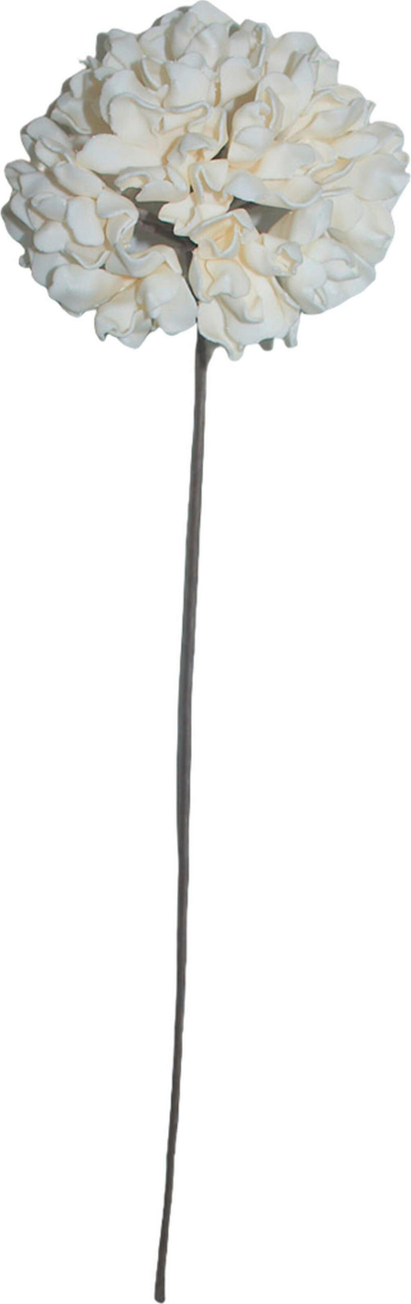 UMELÝ KVET 89 cm - krémová, Basics, kov/plast (89cm) - Ambia Home