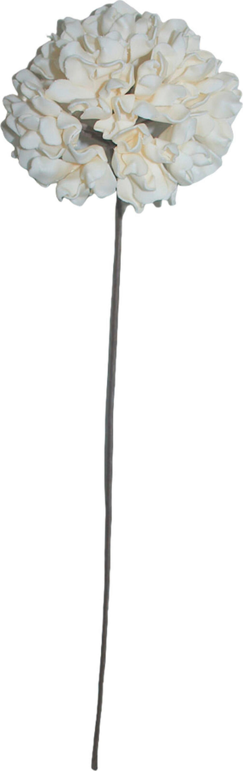 UMELÝ KVET 89 cm - krémová, Basics, kov/plast (89cm) - Ambia Home