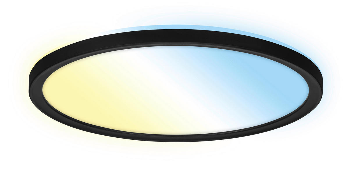 LED-PANEEL  - Schwarz, Design, Kunststoff (29.3/2.8cm)