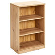 REGAL  55/84/36 cm Eiche Artisan  - Schwarz/Eiche Artisan, Basics, Holzwerkstoff (55/84/36cm) - Xora