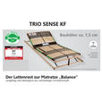 LATTENROST 80/200 cm  - Naturfarben/Braun, Basics, Holz/Kunststoff (80/200cm) - Novel
