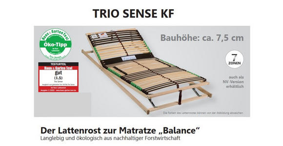 LATTENROST 80/200 cm  - Naturfarben/Braun, Basics, Holz/Kunststoff (80/200cm) - Novel