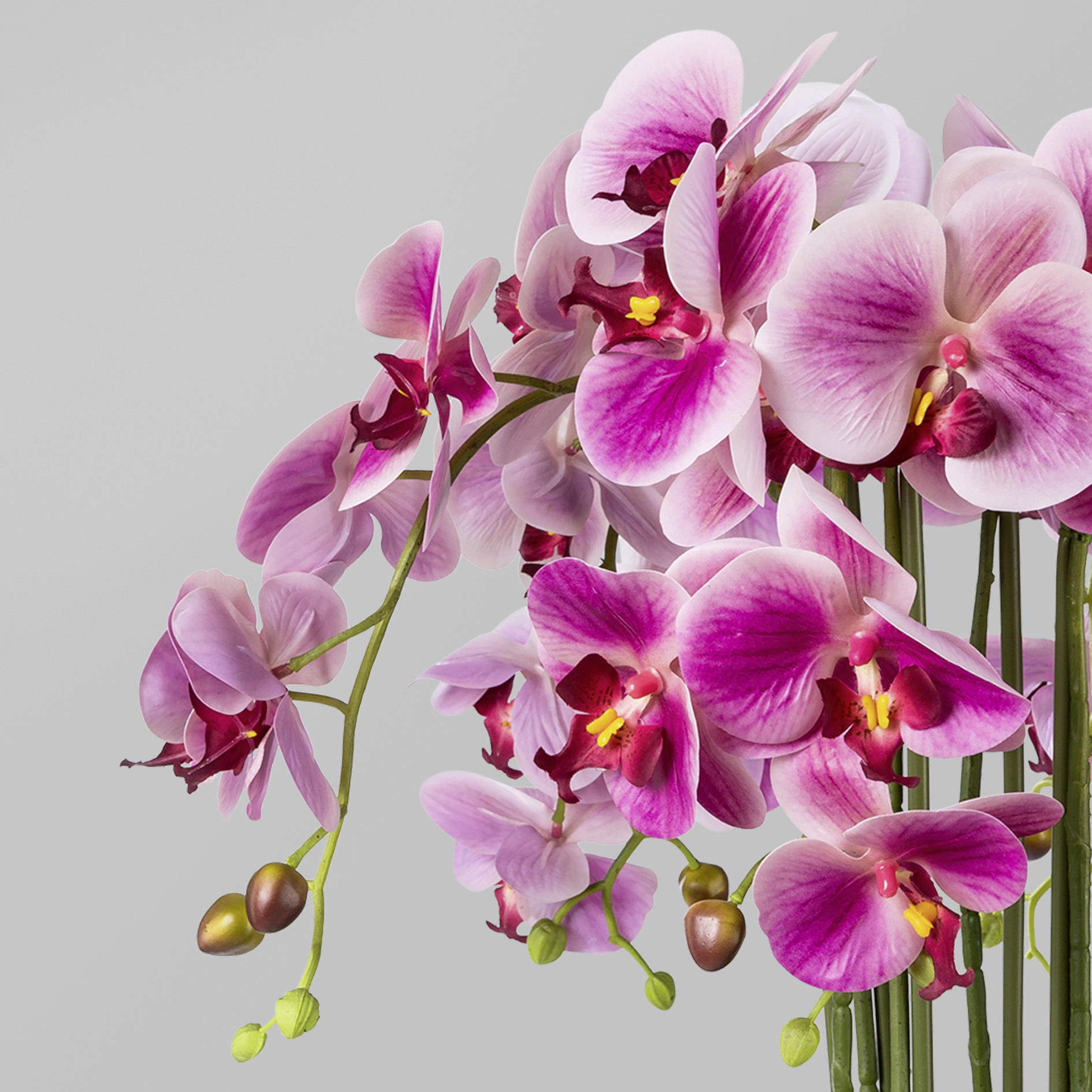 KUNSTBLUME Orchidee  - Magenta/Grün, Trend, Kunststoff (54cm) - MID.YOU