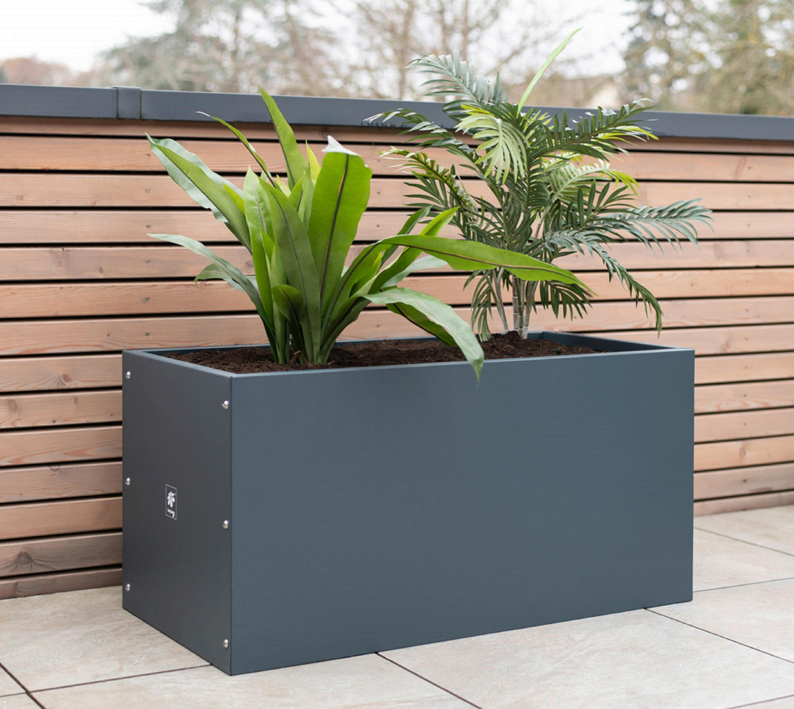 PFLANZENTOPF   - Anthrazit, Basics, Metall (50/50/100cm) - Ambia Garden