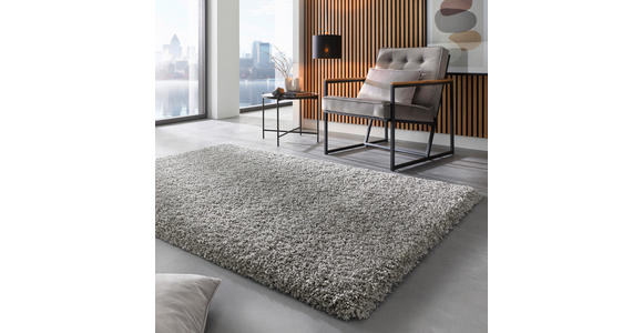 HOCHFLORTEPPICH 65/130 cm Grau  - Grau, Basics, Textil (65/130cm) - Novel