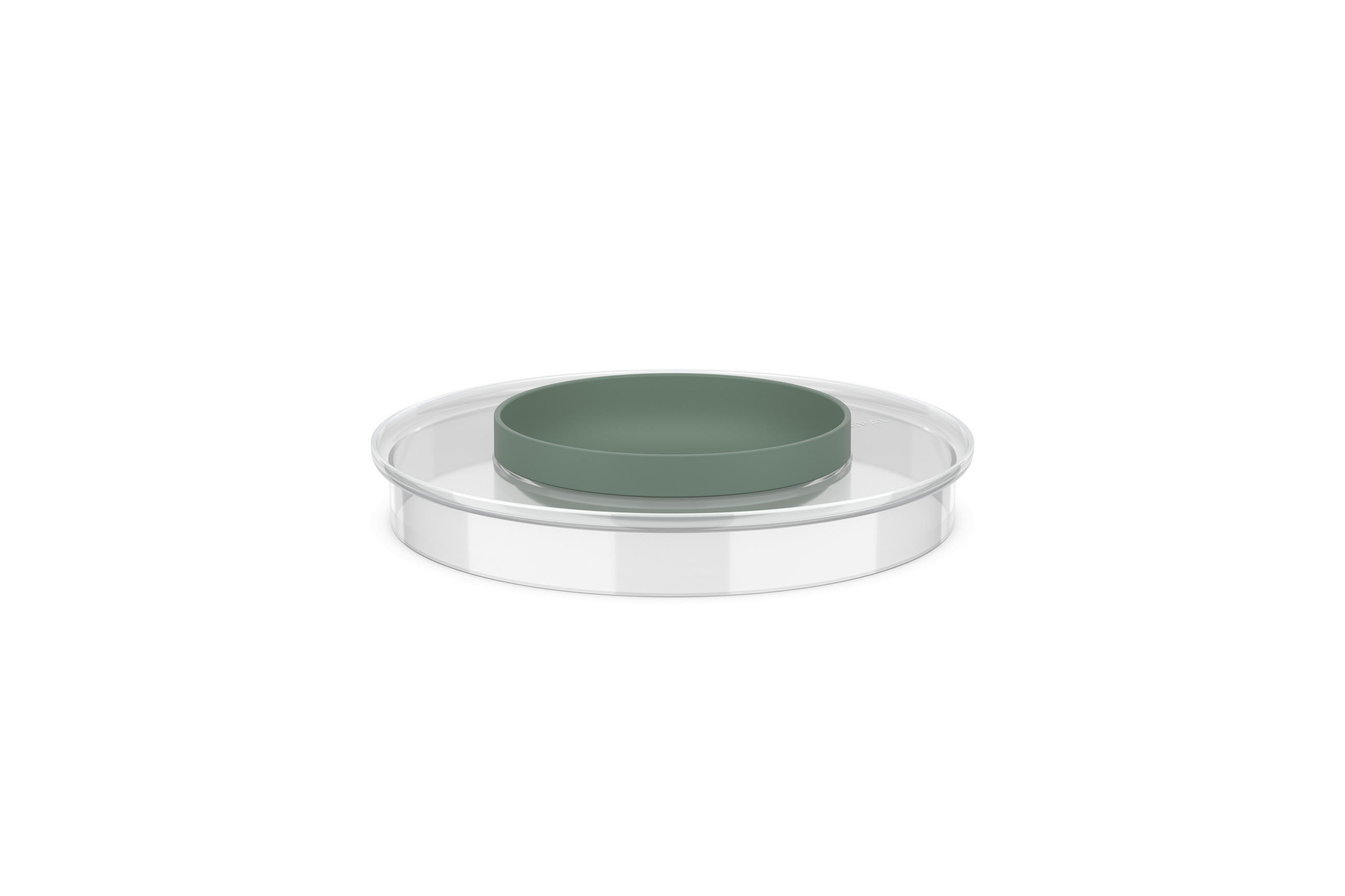 SPRITZSCHUTZ Chef It 22,3 cm  - Salbeigrün/Transparent, KONVENTIONELL, Kunststoff (22,3cm) - Mepal
