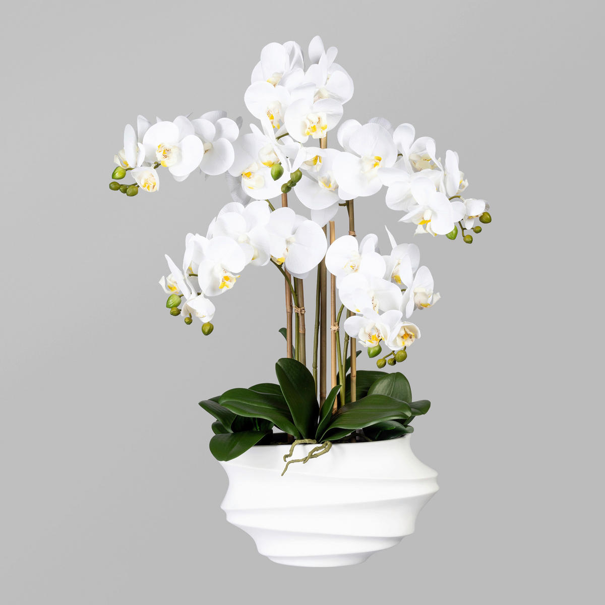 KUNSTBLUME Orchidee  - Weiß/Braun, Trend, Kunststoff (75cm)