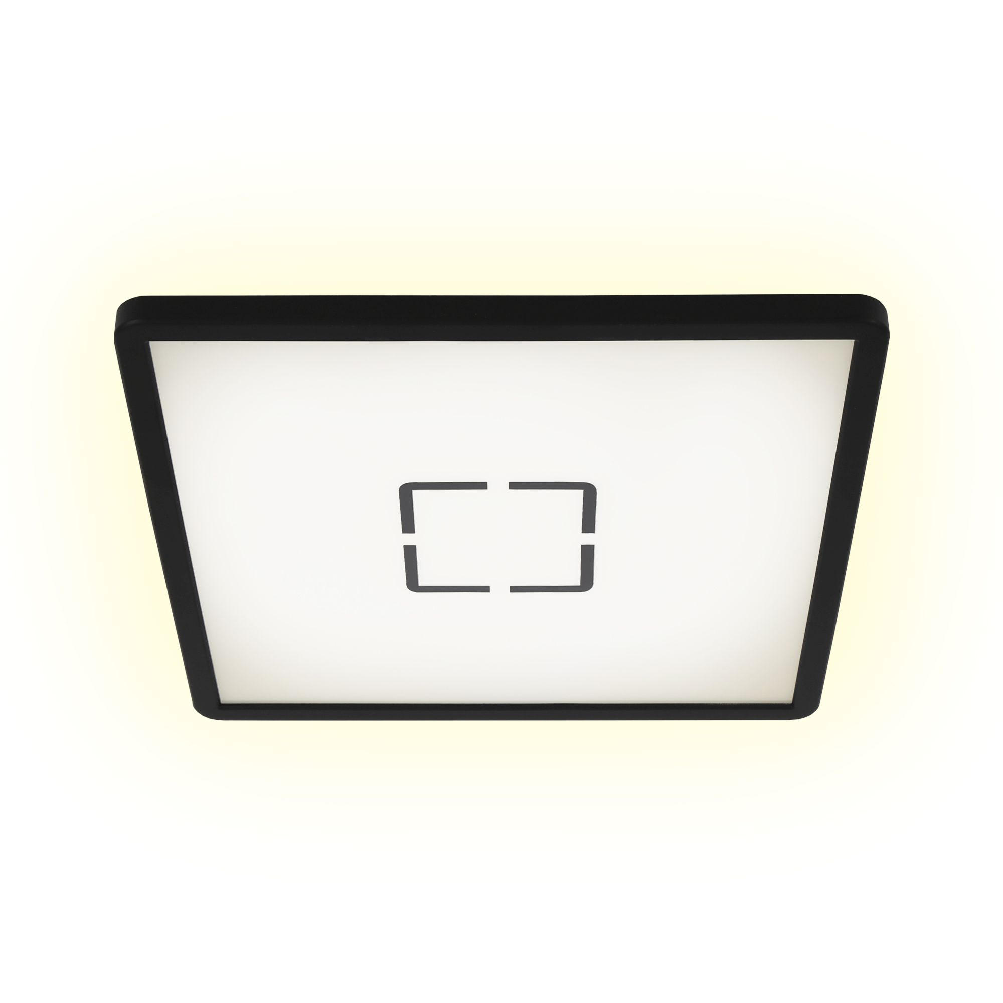 STROPNA LED-SVETILKA    2400 lm 4000 K 230 V  - črna/bela, Basics, umetna masa (29,3/2,8/29,3cm)