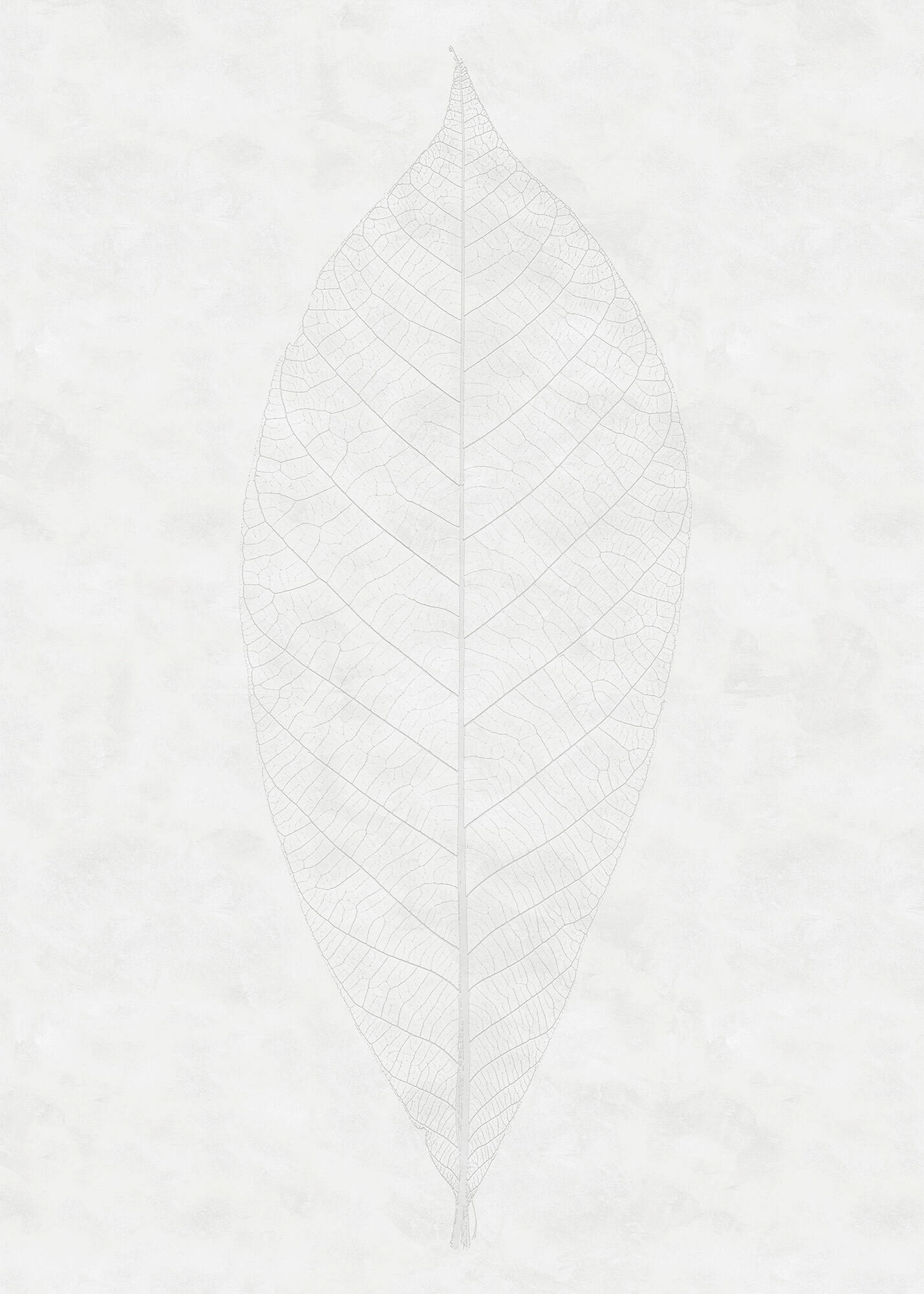 FOTOTAPET 200/280 cm  - vit/grå, Trend (200/280cm)