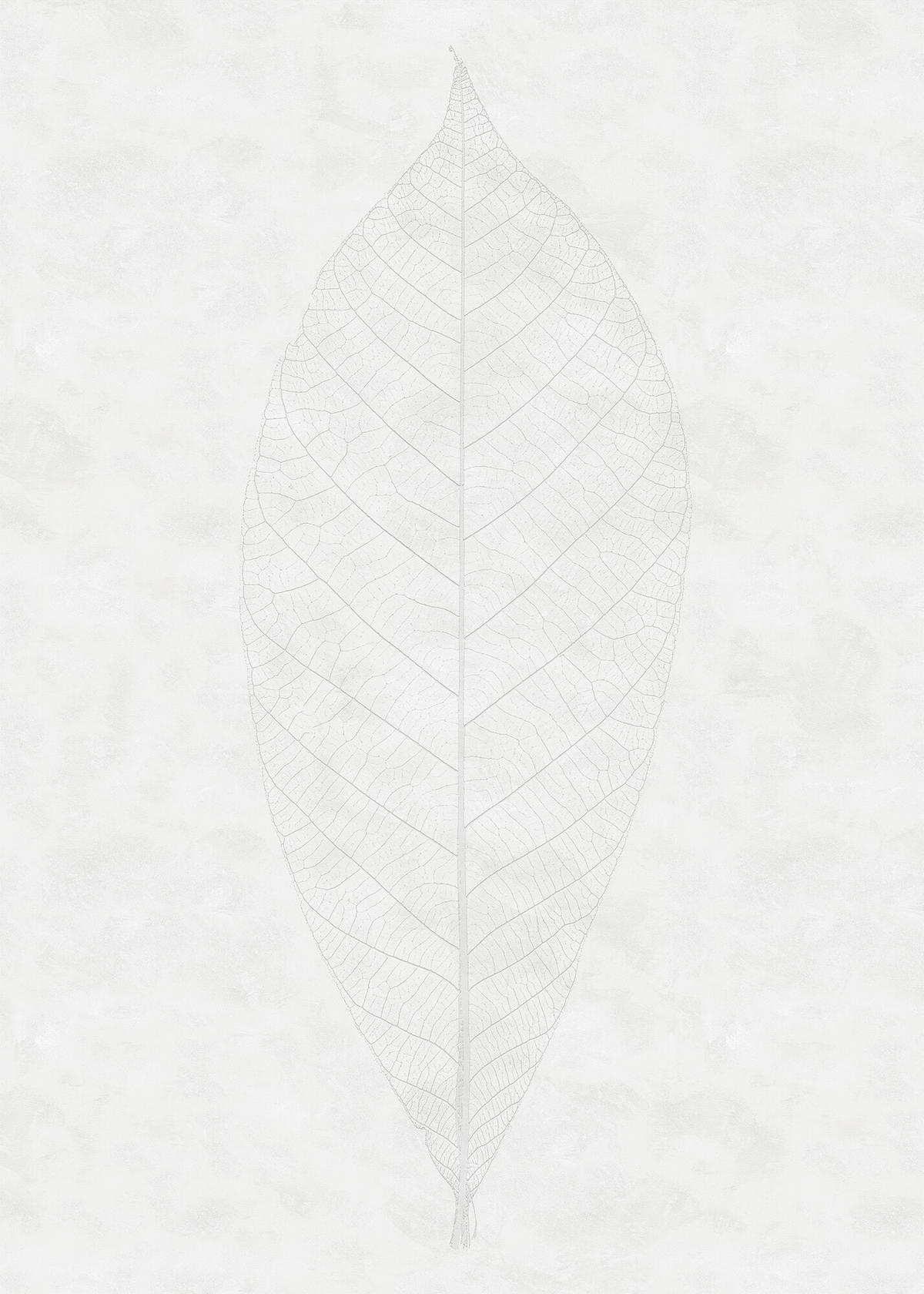 FOTOTAPET 200/280 cm  - vit/grå, Trend (200/280cm)