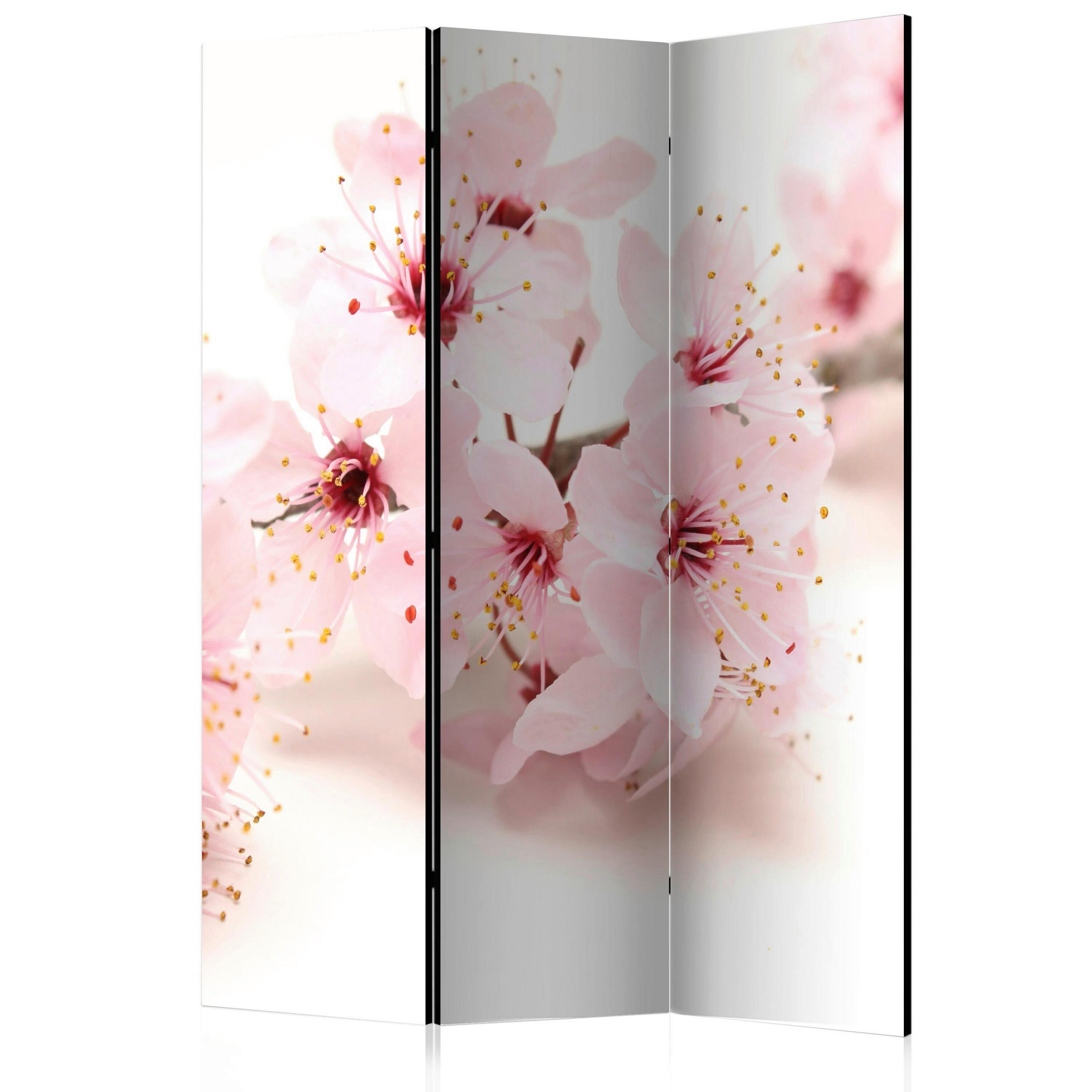 SKÄRMVÄGG  i trä, textil  vit, ljusrosa  - vit/ljusrosa, Basics, trä/textil (135/172/3cm) - artgeist