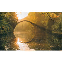 VLIESTAPETE  - Natur (400/250cm) - Komar