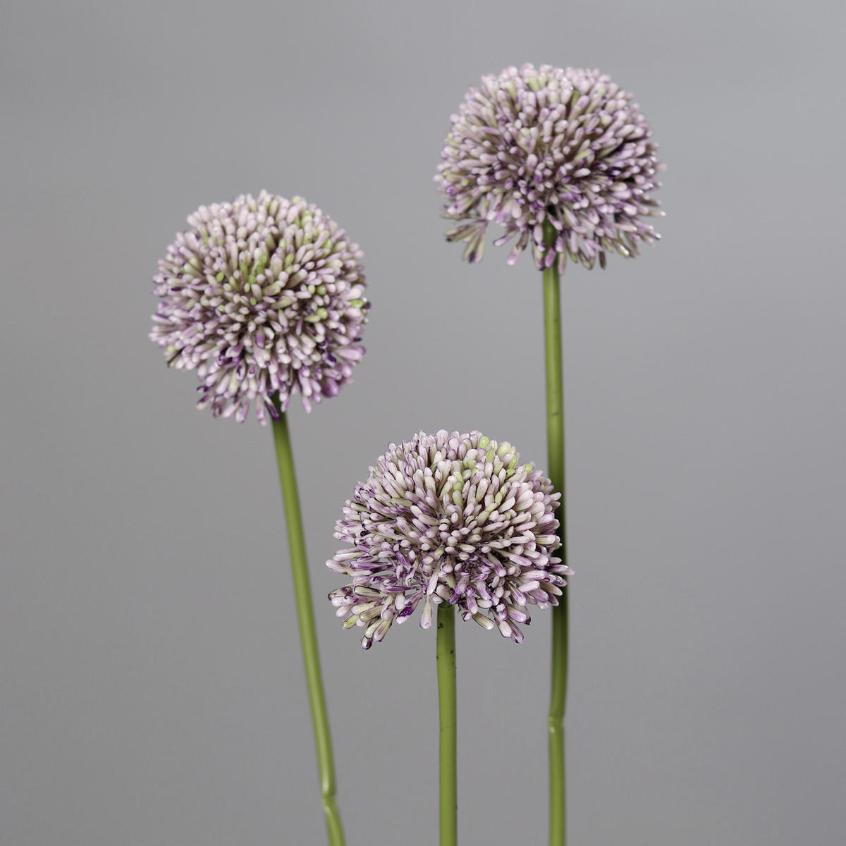 ALIJUM - zelena, Osnovno, tekstil/plastika (46cm)