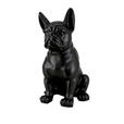 DEKOHUND - Schwarz, Design, Kunststoff (63/79/48cm) - Ambia Home
