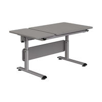 JUGENDSCHREIBTISCH 130/70/53-79 cm  - Silberfarben/Grau, Basics, Holzwerkstoff/Metall (130/70/53-79cm) - Paidi