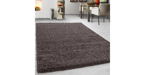 HOCHFLORTEPPICH 60/110 cm Life 1500 Taupe - Taupe, KONVENTIONELL, Textil (60/110cm) - Novel