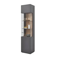 VITRINE in Graphitfarben  - Graphitfarben, Design, Glas/Holzwerkstoff (46,9/205,5/37,1cm) - Dieter Knoll