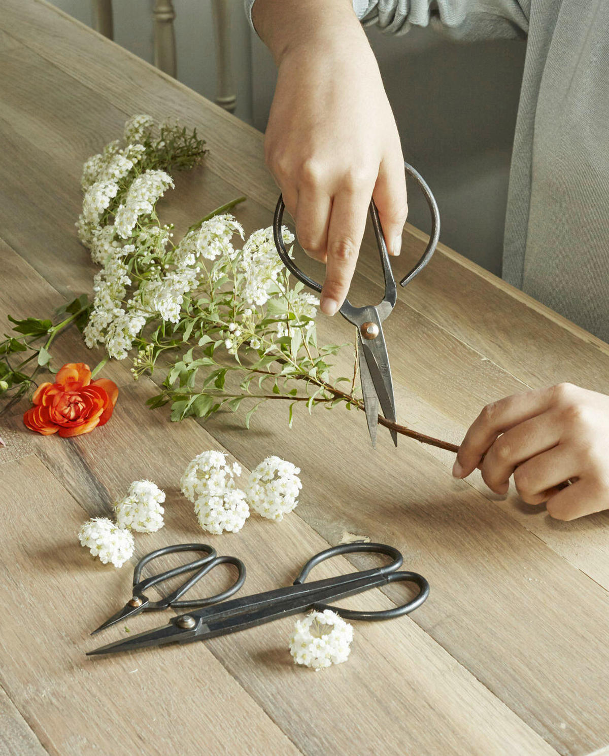 METSZŐOLLÓ - fekete, Basics, fém (24/1,5/20cm) - Kikkerland