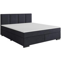 BOXSPRINGBETT 160/200 cm  in Anthrazit  - Anthrazit/Schwarz, MODERN, Karton/Holz (160/200cm) - MID.YOU