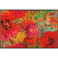 FUßMATTE  50/75 cm  Multicolor  - Multicolor, Design, Kunststoff/Textil (50/75cm) - wash+dry