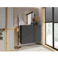 HÄNGESCHUHSCHRANK 120/100/34 cm  - Anthrazit, Design, Holzwerkstoff (120/100/34cm) - Hom`in